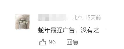狠年》堪称蛇年最强广告AG旗舰厅网耐克《过个(图11)