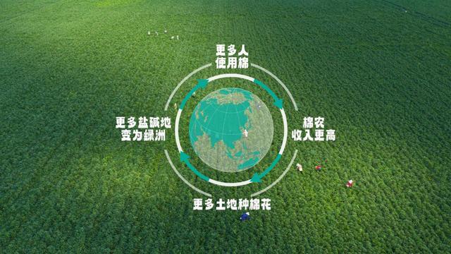 da Goose加拿大鹅“共话青皑”沉浸